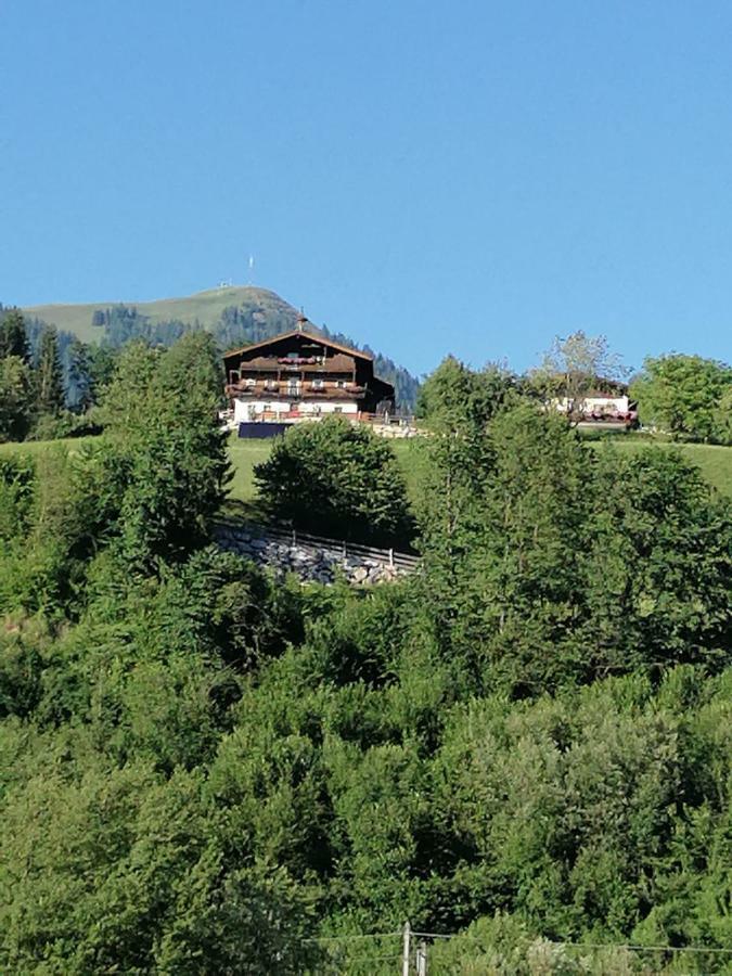 Bauernhof Moedling Apartment Hopfgarten im Brixental Exterior photo