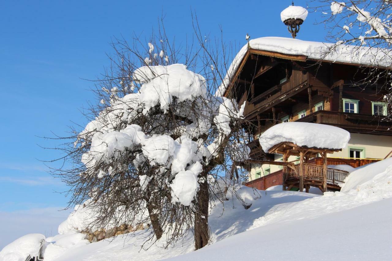 Bauernhof Moedling Apartment Hopfgarten im Brixental Exterior photo